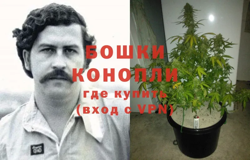 Канабис SATIVA & INDICA  купить   Заозёрск 